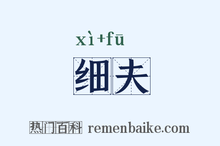 细夫是什么意思的图片